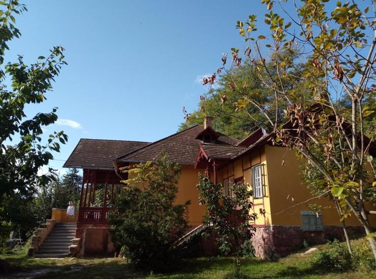 Villa Kundalini Balatonalmádi Exterior foto